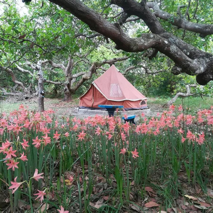Cashew Nut Bungalow, Ko Mook Kültér fotó